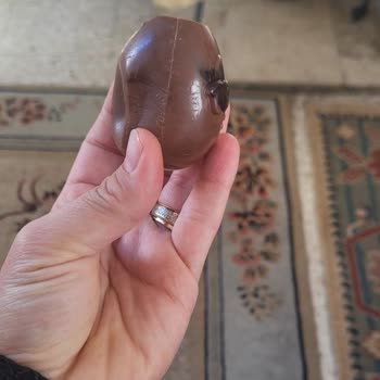 Ozmo Yumurta Kafası Sürprizi Hayal Kırıklığına Uğrattı