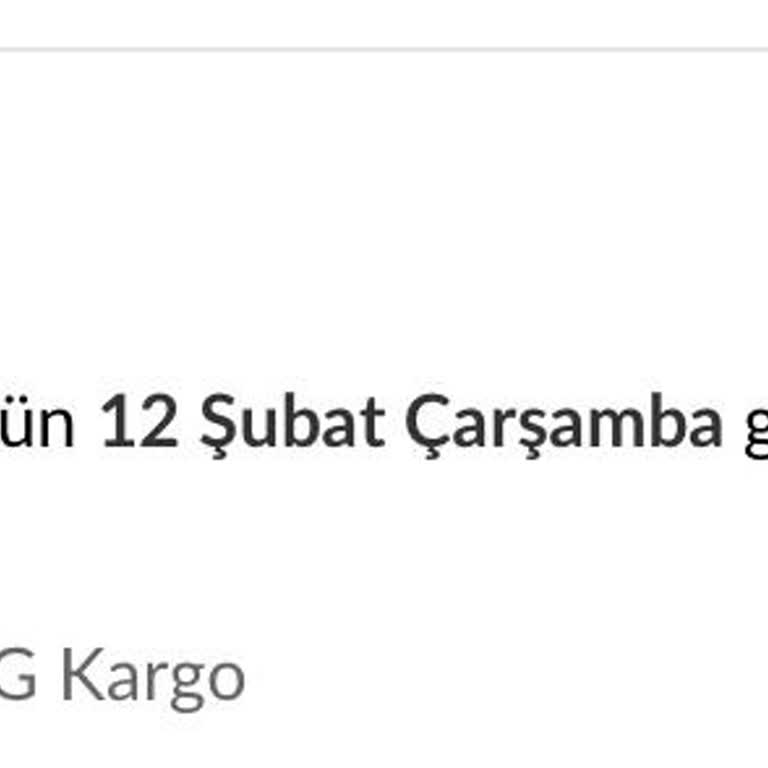 MNG Kargo Teslimat Sorunları Ve Yanıltıcı Bilgilendirme