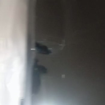 Vestel Kırık Televizyon Ve Sorumsuz Servis!