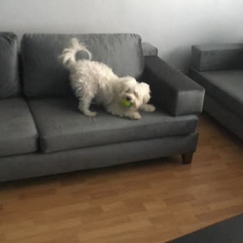 İade Edilmeyen Sipariş Ve Çözülmeyen Mağduriyet