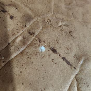 Taze Olmayan Ürünler Ve Mağduriyet