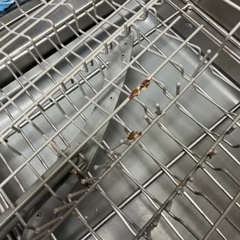 Teka Bulaşık Makinesi Paslanma Sorunu Ve Müşteri Hizmetleri İlgisizliği