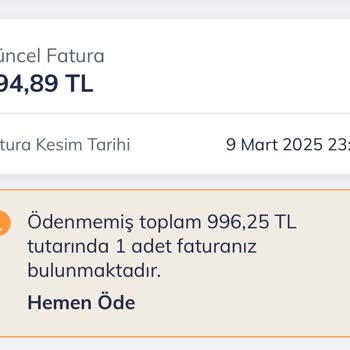 Yurt Dışı Paketlerinde Eksik Bilgilendirme Ve Yüksek Fatura Şoku