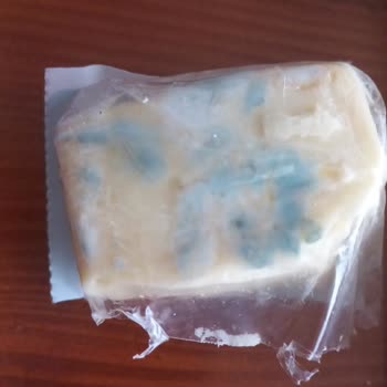 Küflü Peynir Mağduriyeti