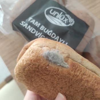 BİM'den Aldığım Sandviç Ekmeğinde Gizemli Madde