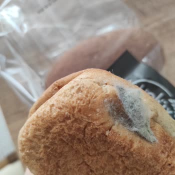 BİM'den Aldığım Sandviç Ekmeğinde Gizemli Madde