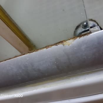 Otel Deneyiminde Hayal Kırıklığı