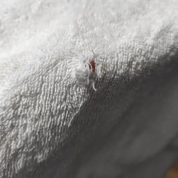 Hayal Kırıklığı: Bosch Çamaşır Makinesi Çamaşırları Mahvediyor