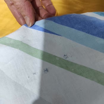 Hayal Kırıklığı: Bosch Çamaşır Makinesi Çamaşırları Mahvediyor