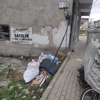 İnternet Kesintisi Ve İlgisizlik