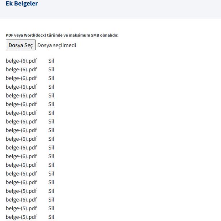 Kariyer Platformunda Belgelerin Yüklenmesi Ve Silinmesi Sorunu