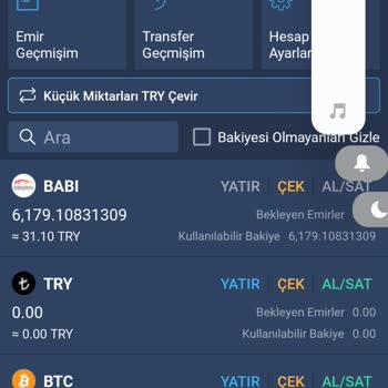 Bitexen'de Ani Bakiye Düşüşü Ve Kayıp Emir Geçmişi