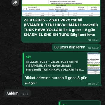 Jolly Tur'da Hayal Kırıklığı: Mısır Turu Deneyimi