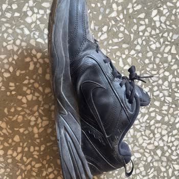 nike air monarch squeak