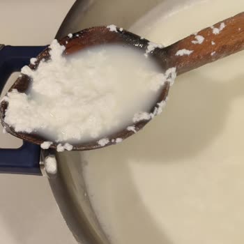 Sürekli Kesilen Jersey Süt Sorunu