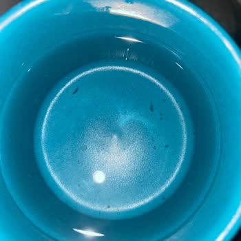 Kirlilik Ve İhmal: Damacana Su Siparişimde Büyük Hayal Kırıklığı