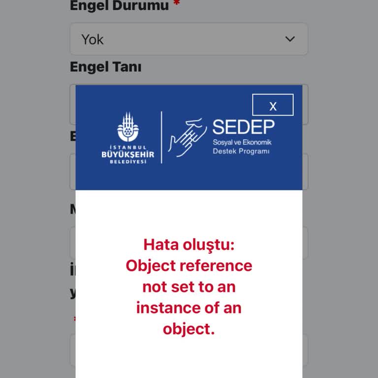 Evlilik Desteği Başvurusunda Hata Sorunu