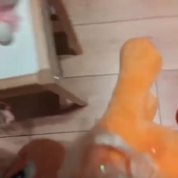 Folkart Yapı Vega Şikayeti