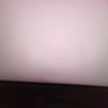 Sunny Televizyonun İçine Sinek Girmesi Ve Çözülmeyen Sorunlar