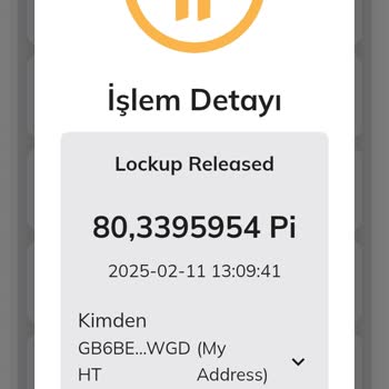 Pi Network Pi Coinlerim Çalındı: Acil Destek Ve Çözüm Arayışı