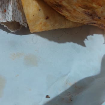 Trendyol Yemek Döner Siparişimde Kıl Çıktı, İade Sorunu Yaşadım