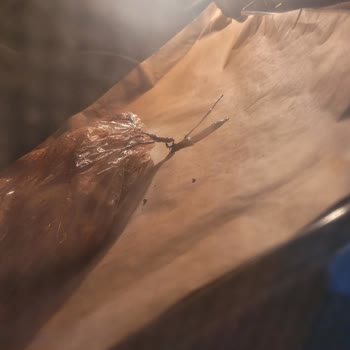 Fırın Poşeti Eriyerek Hayal Kırıklığı Yarattı
