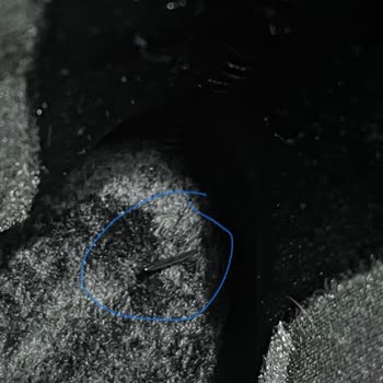 Tehlikeli Ayakkabı: Marjin Chelsea Bot Güvenlik Sorunu