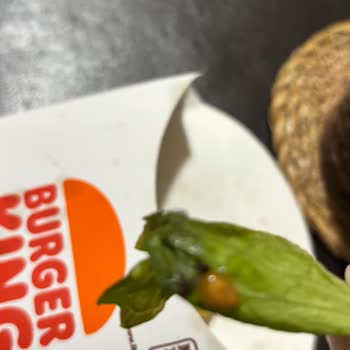 Eve Gelen Çöp Menü: Soğuk Ve Lezzetsiz Deneyim