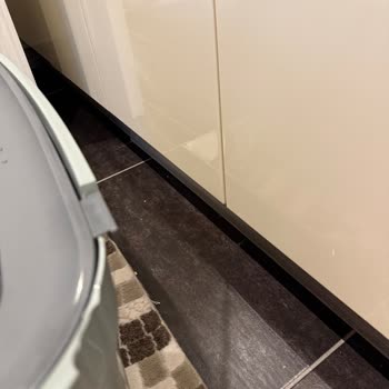 Kırık Kedi Tuvaleti Ve İlgisiz Müşteri Hizmeti