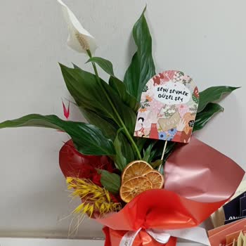 Yanlış Çiçek Gönderimi Ve Tekrarlayan Hatalar