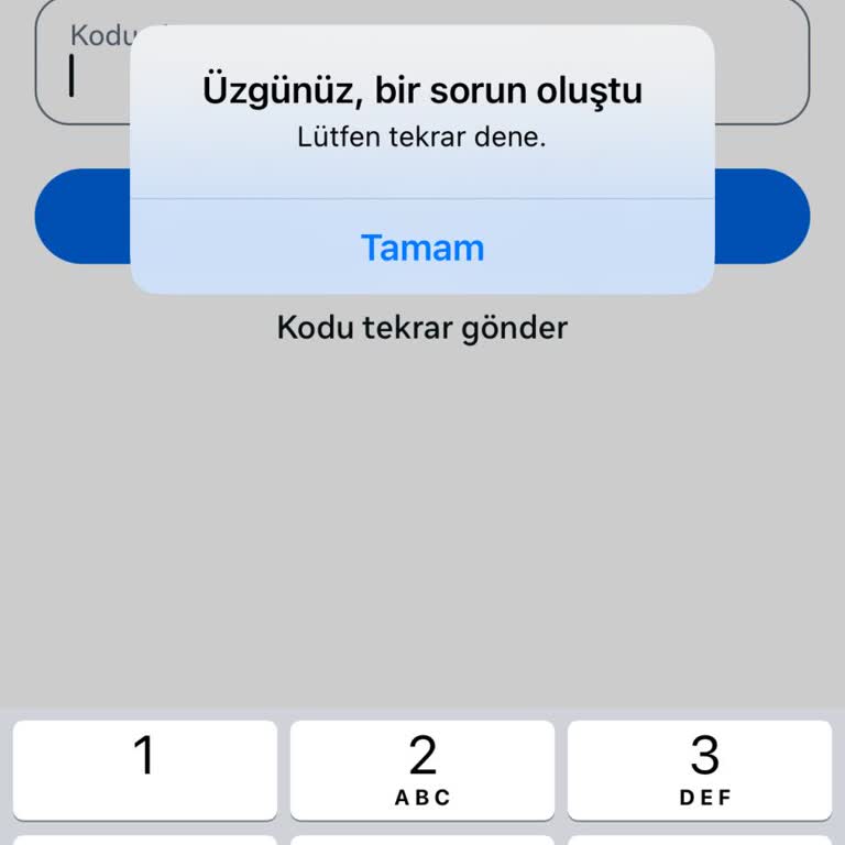 Instagram Hesabıma Erişemiyorum