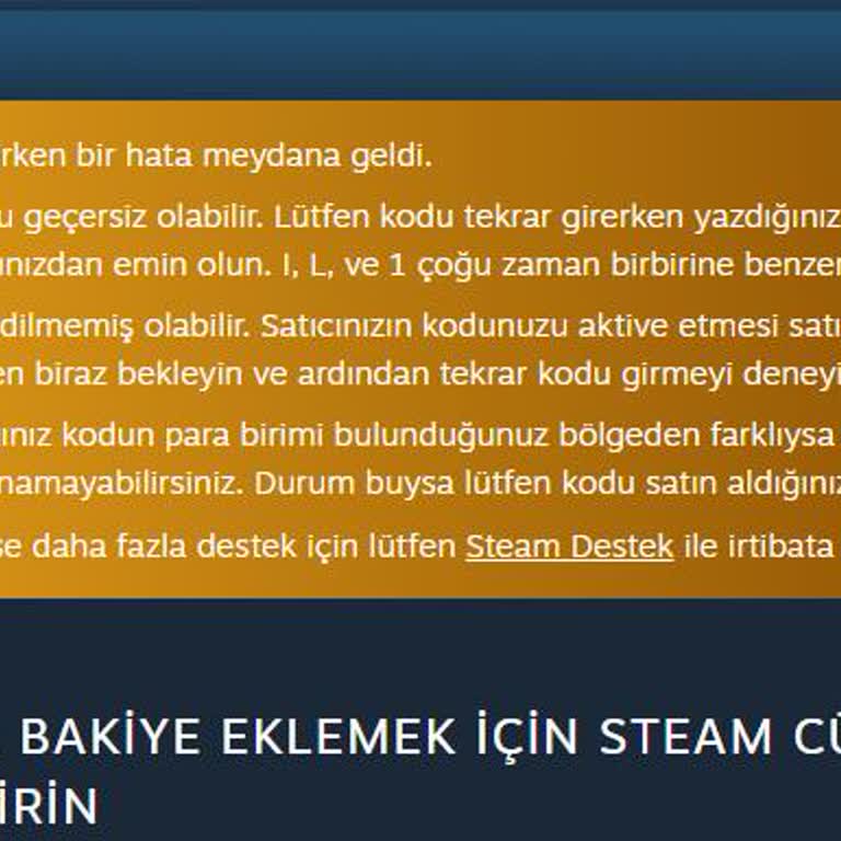Bynogame'de Steam Cüzdan Kodu Sorunu!