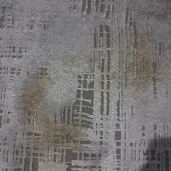 Gümüş Suyu Halı: Kalitesiz Ürün Ve Çıkarılamayan Kahve Lekesi