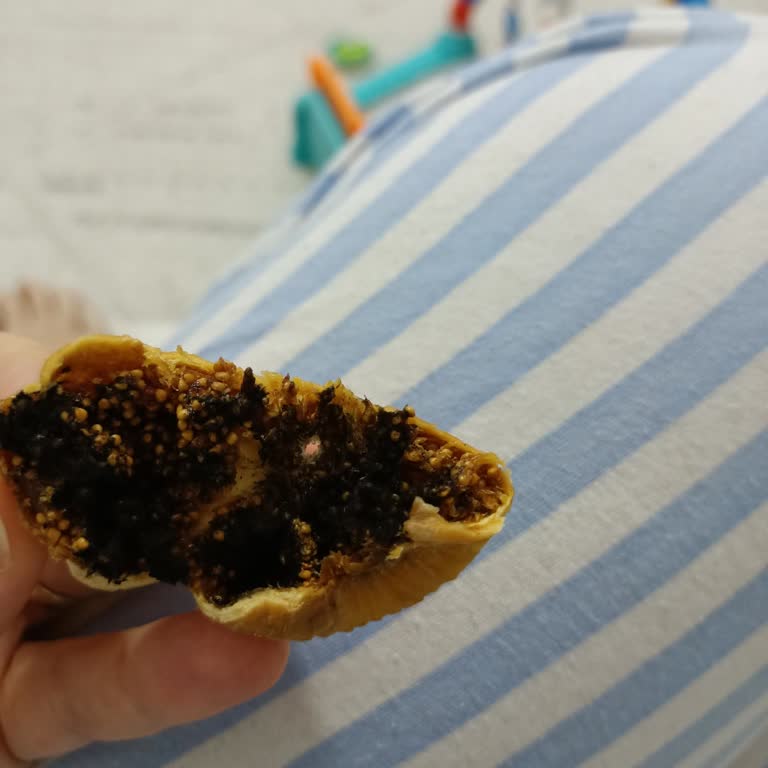 Bozuk Kuru İncirlerle Tehlikeye Atılan Sağlık