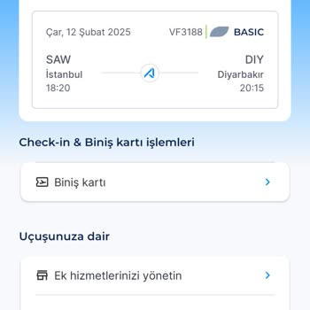 Bebekli Yolcuya Uygulanan Katı Kurallar