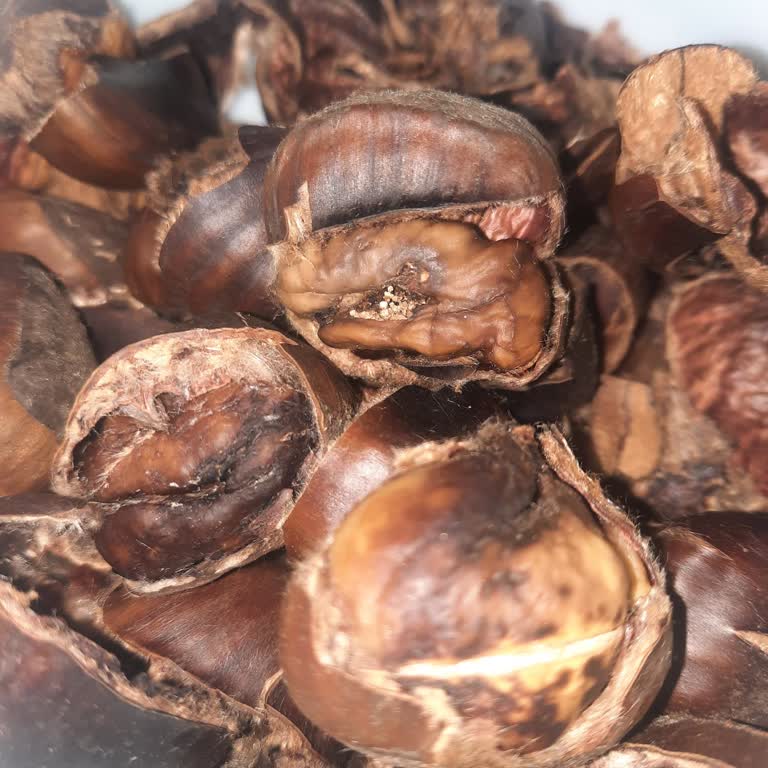 Bozuk Kestane Ürünü Ve Ücret İadesi Talebi