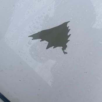 Elantra Boya Sorunu Ve Müşteri Mağduriyeti