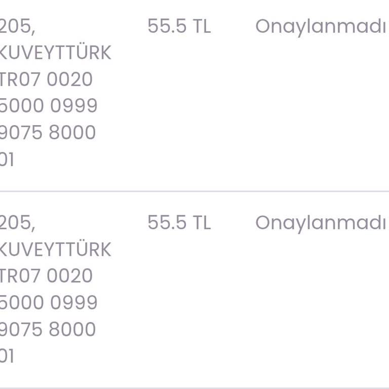 Ronni App Çekim Taleplerini Sürekli Reddediyor