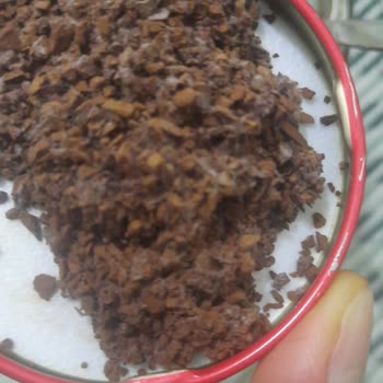 Küflenmiş Nescafe Taster's Choice Kahve Sorunu