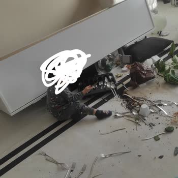 Demente Mobilya Tehlikeli Ürün Ve İlgisiz Müşteri Hizmetleri