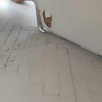 Demente Mobilya Tehlikeli Ürün Ve İlgisiz Müşteri Hizmetleri