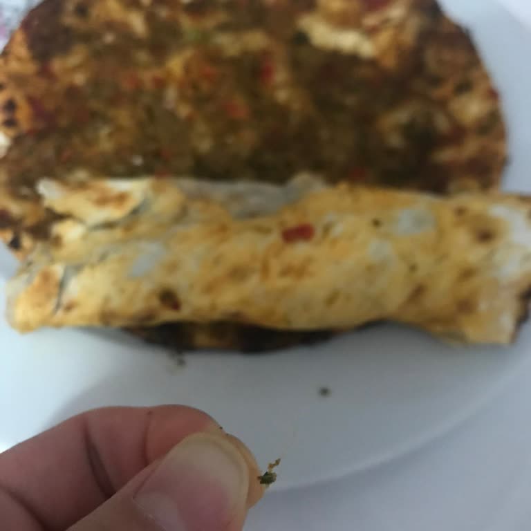 Lahmacunda Uzayan Plastik Şoku: Güvenle Yedirdiğim İçin Pişmanım