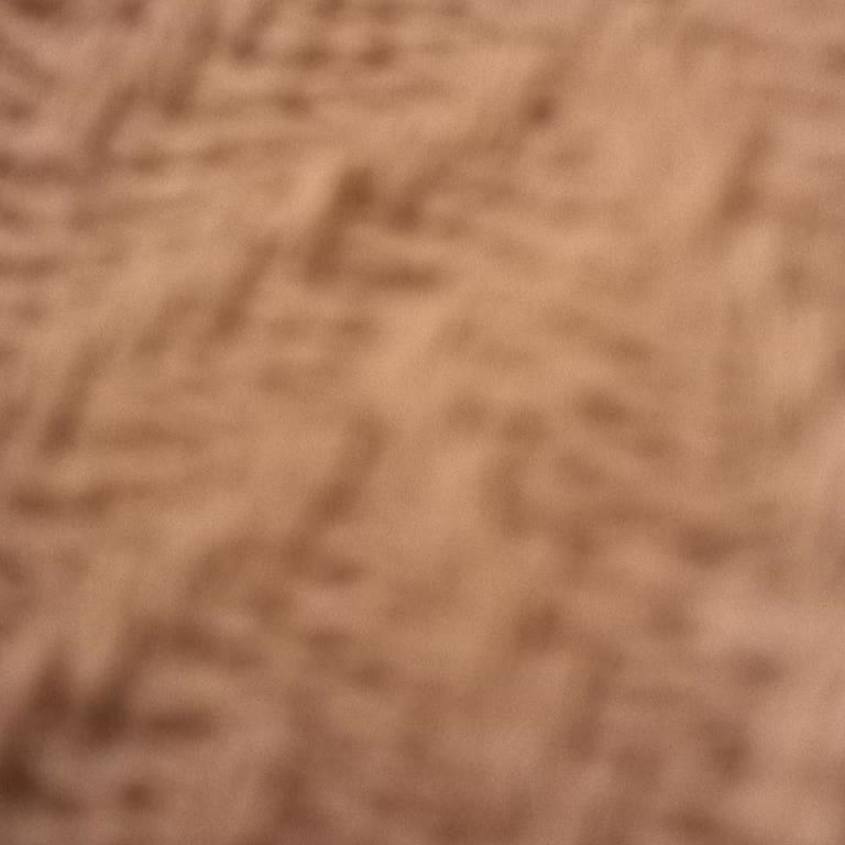 Şok Marketin İade Politikası Mağduriyeti