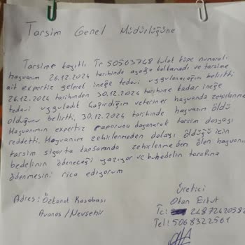 Sigorta Şirketi İlgisizliği Ve Hayvan Kaybı