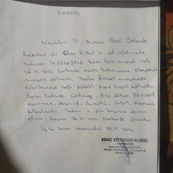 Sigorta Şirketi İlgisizliği Ve Hayvan Kaybı