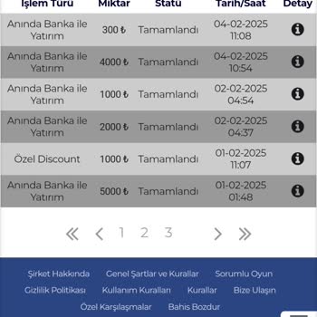 Oyun Sitesinde Kazançsız Geçen Bir Ay