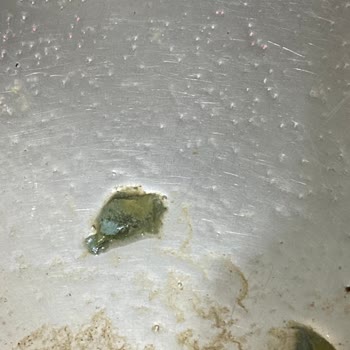 İçecekte Şok Edici Küf Sorunu