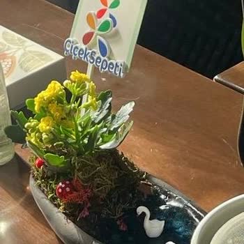 Çiçek Sepeti'nde Hayal Kırıklığı: Sipariş Ve İade Sorunları