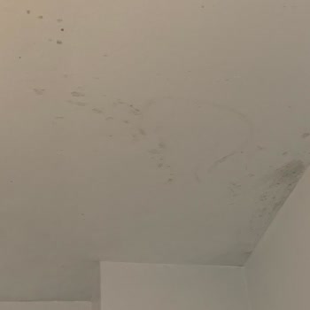 Nuvo Dragos Sitesi'nde Isınma Ve Yönetim Sorunları