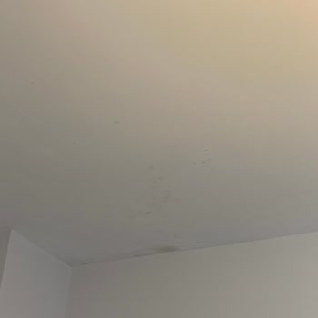 Nuvo Dragos Sitesi'nde Isınma Ve Yönetim Sorunları